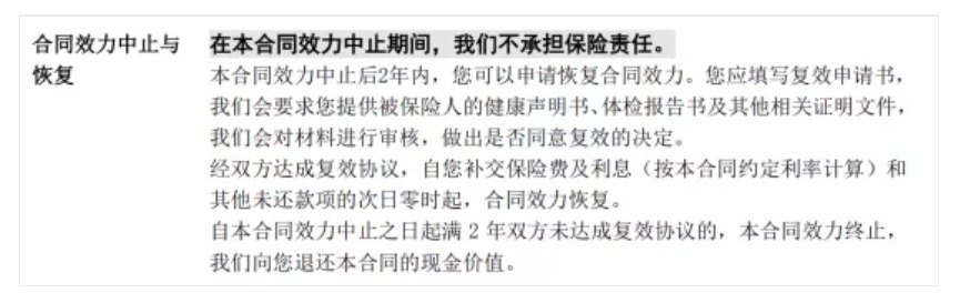 保險中的7個(gè)期限分別是什么意思