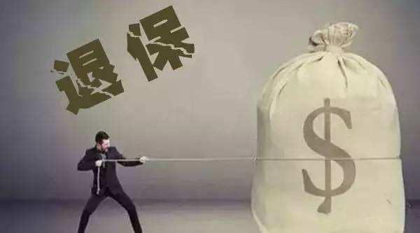 買(mǎi)的保險不想續保了能退嗎？