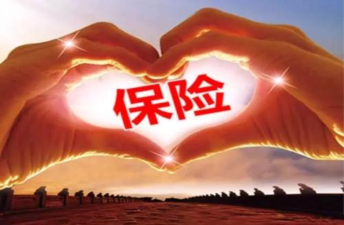人壽重大疾病保險，哪種比較好？