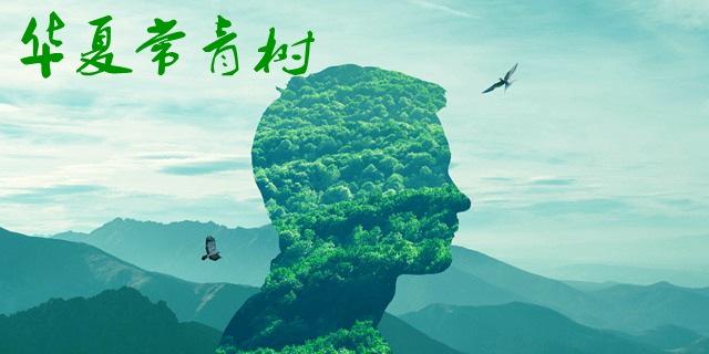 華夏常青樹(shù)多倍版和華夏福哪個(gè)好 包含自然身故嗎？